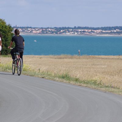 Atlantique nature : La Vélodyssée de La Rochelle à Royan