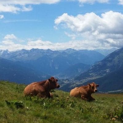 Grande Traversée des Alpes, trek de la vallée de Chamonix-Mont Blanc à la Haute Maurienne