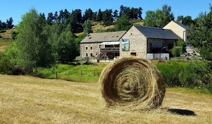 Randonnée en Margeride au cœur du Gévaudan et de l'Aubrac 