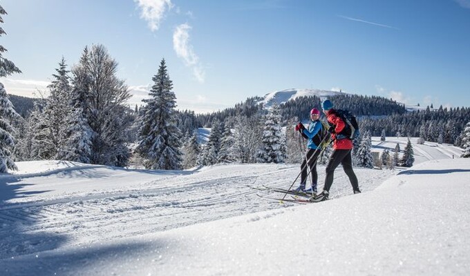 Traversée de la Haute Forêt-Noire à ski de fond