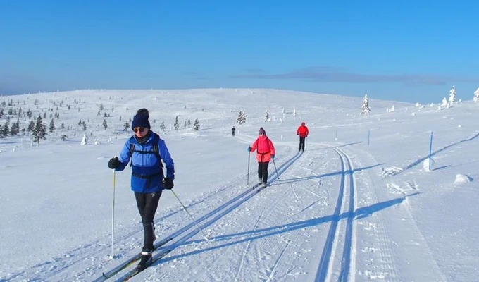 Ski de fond en Laponie finlandaise - Kiilopää