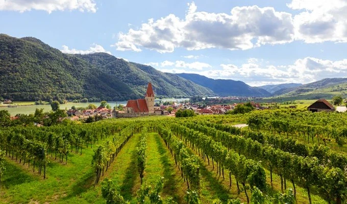 Vignes et Villages au fil du Danube, au cœur de la Wachau