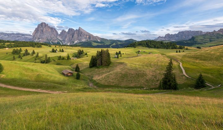 L'alpage de l'Alpe di Siusi, dans les Dolomites