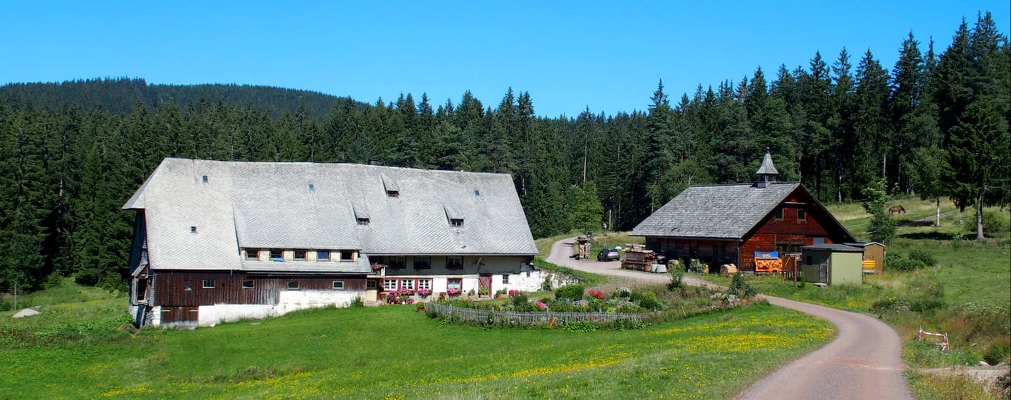 Randonnée en Forêt Noire