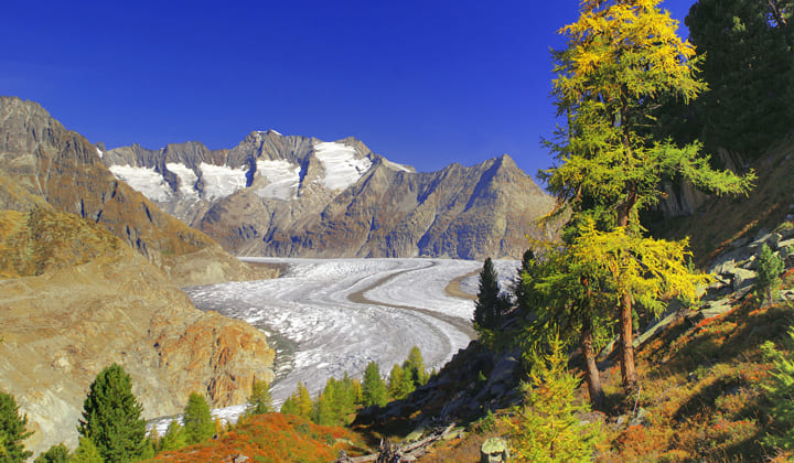 glacier d'aletsch en suisse