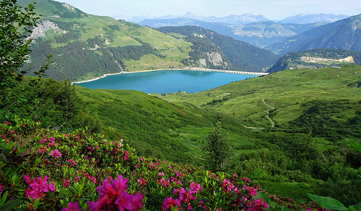 Grande traversée alpes leman vanoise