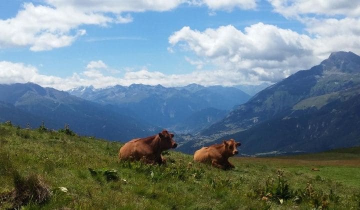 Grande Traversée des Alpes, trek de la vallée de Chamonix-Mont Blanc à la Haute Maurienne