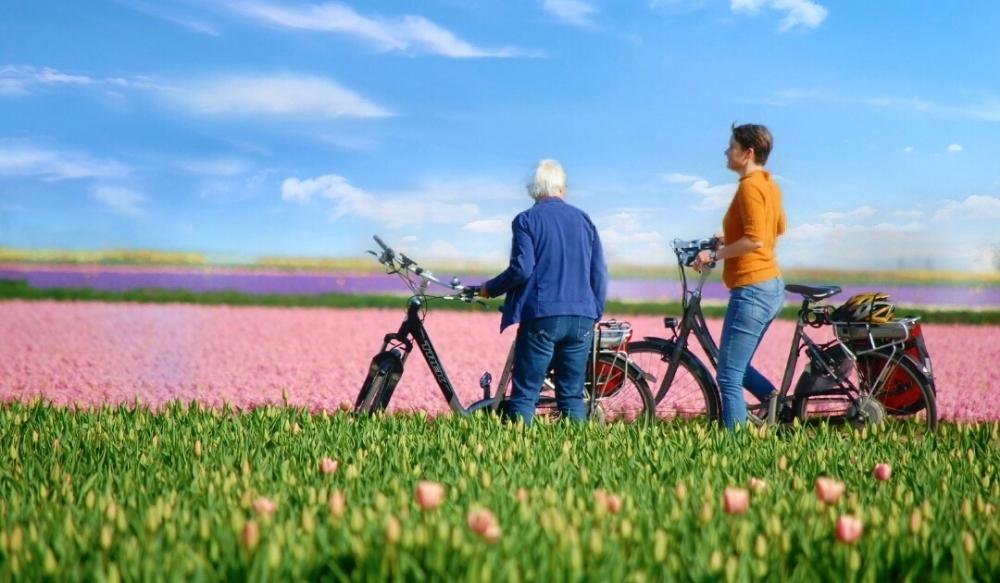 Traversée en vélo dans les champs de tulipes en Hollande, Pays-Bas