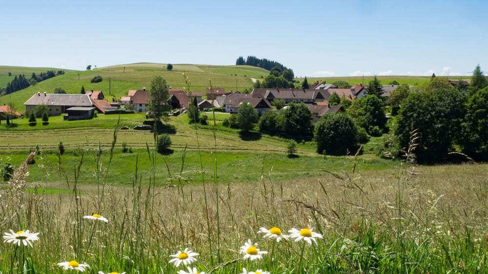 Paysage Forêt Noire