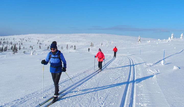 Ski de fond à Kiilopää en Laponie finlandaise