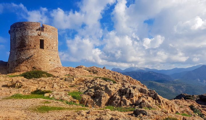 Tour de Turghiu, Corse