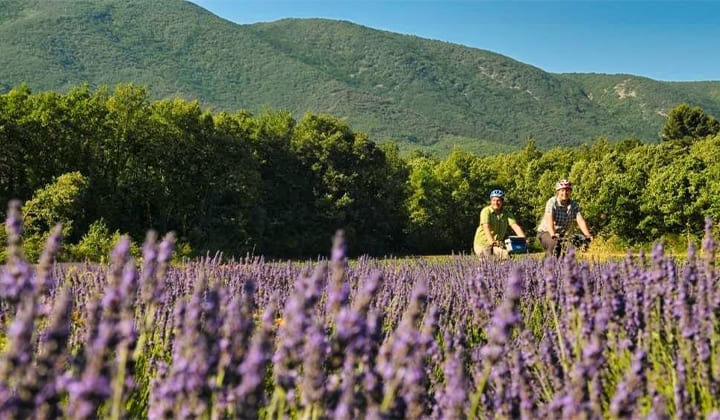 Tour du Luberon à vélo © BROENNER T-VPA (1)