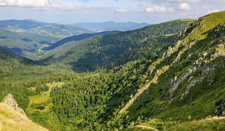 Vue sur la vallée de la Fecht depuis le Hohneck